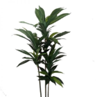Árvore Artificial Dracena 120 Cm 3 Troncos | Formosinha